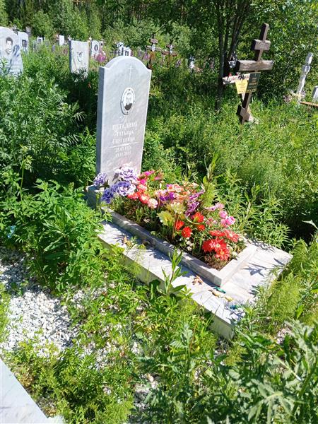 Петелина Тптьяна Сергеевна