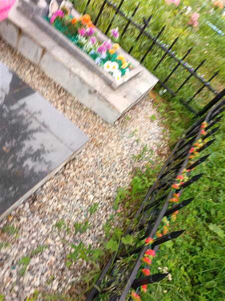 Кузнецов Иван Павлович