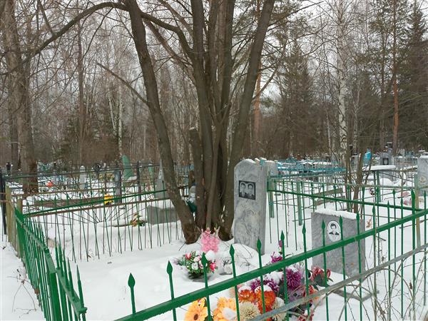 Дриневский Николай Петрович