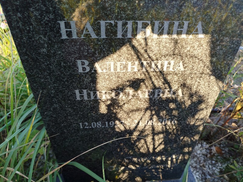 Нагибина