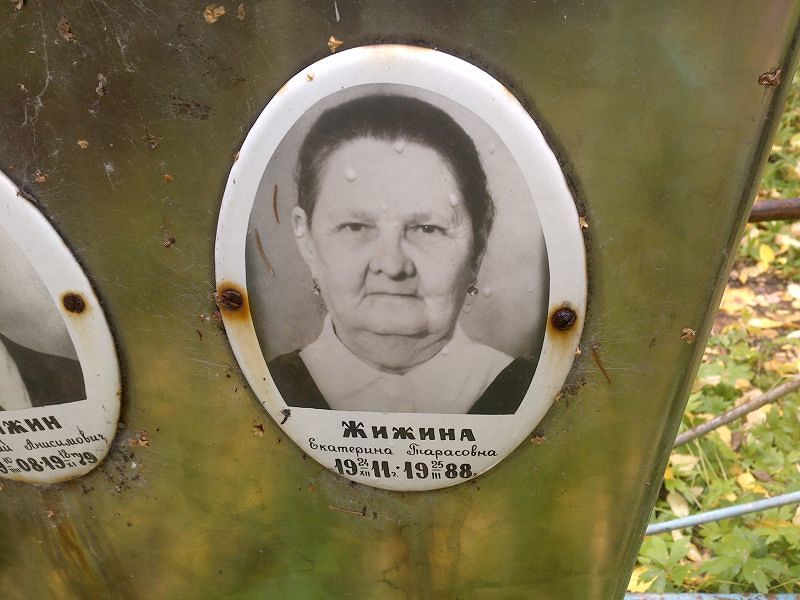 Жижина