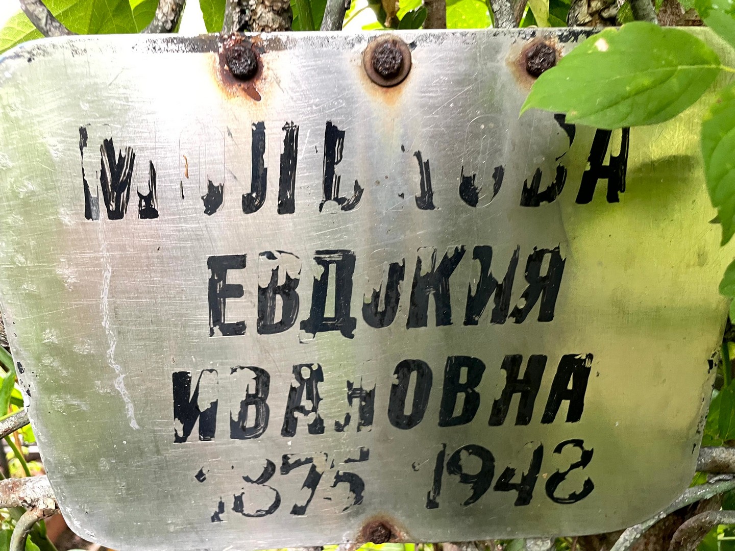 Евдокия