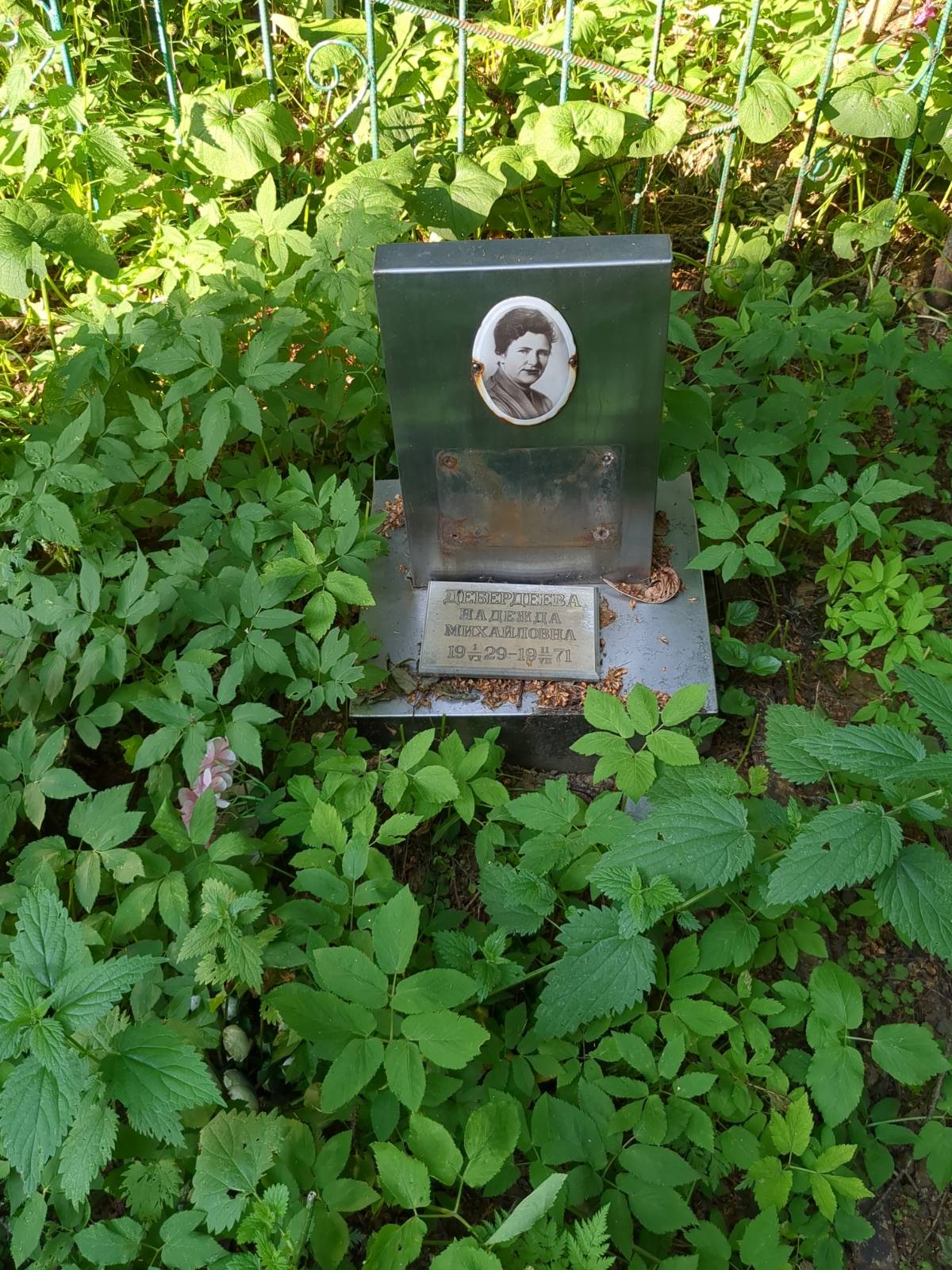 Дебердеева Надежда Михайловна