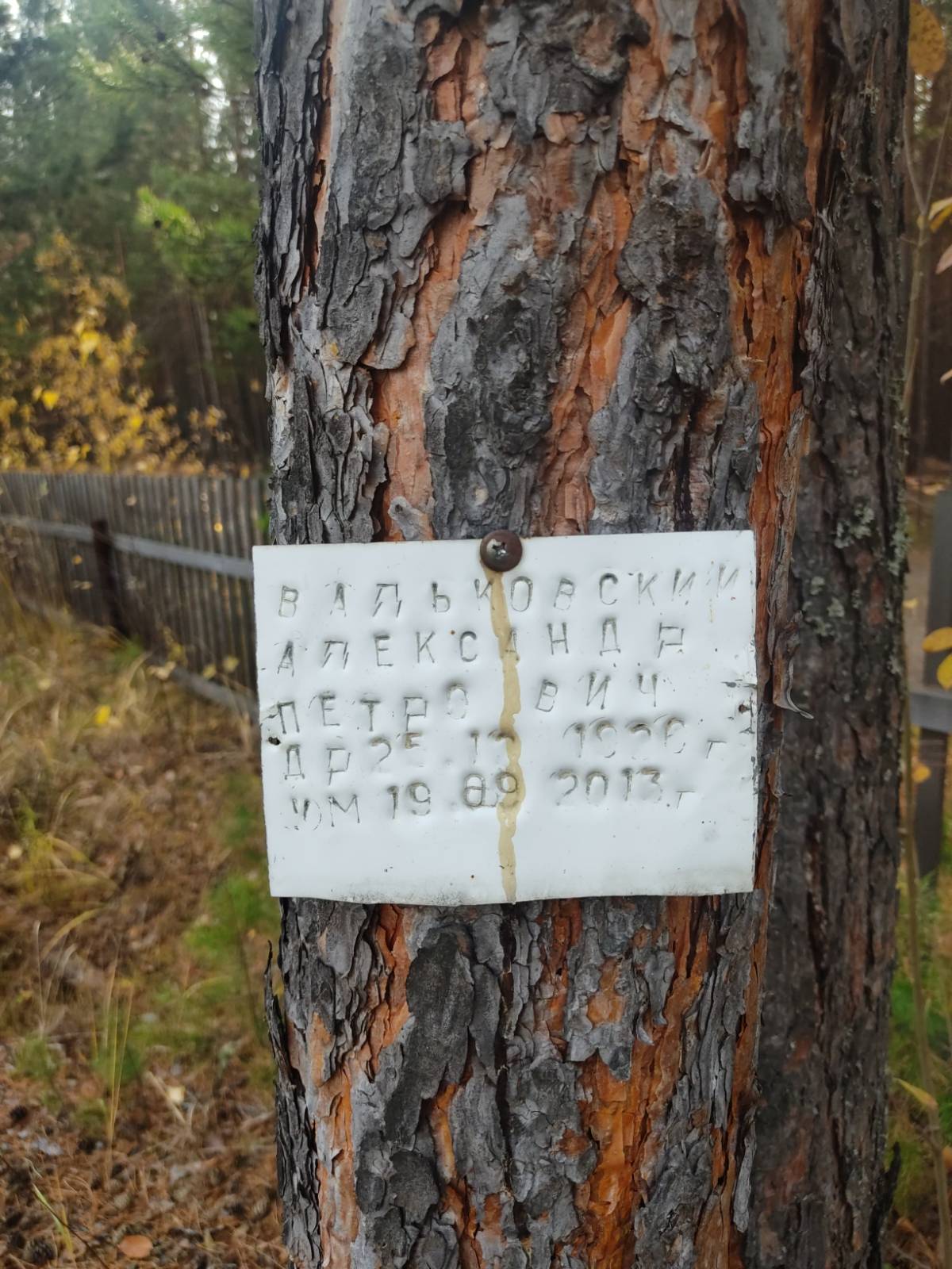 Вальковский Александр Петрович