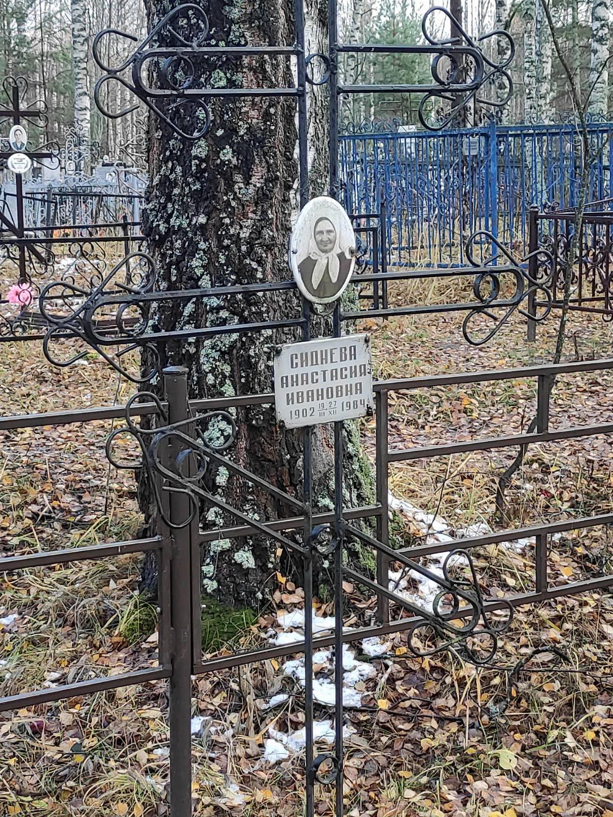 Сиднева Анастасия Ивановна