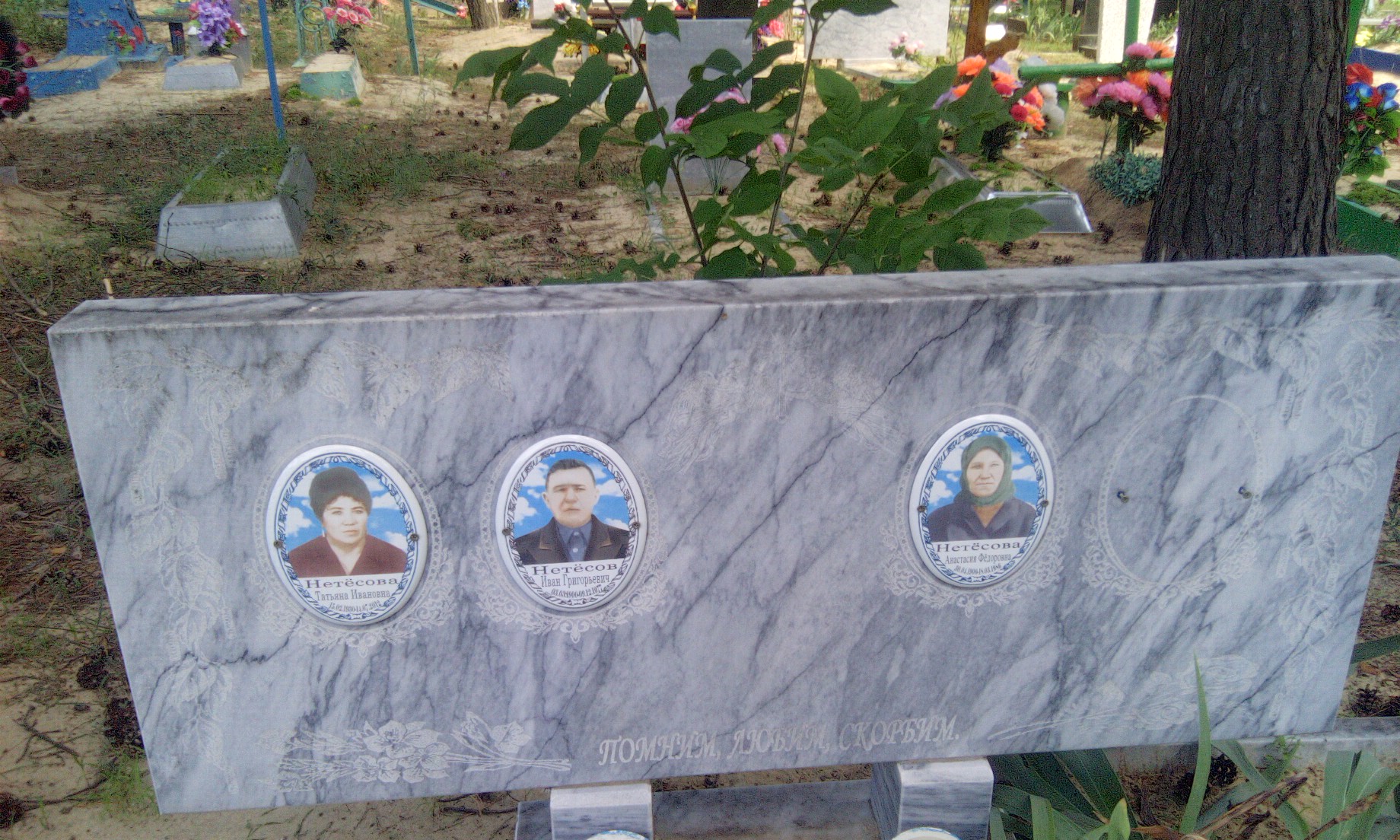 Нетёсов Иван Григорьевич