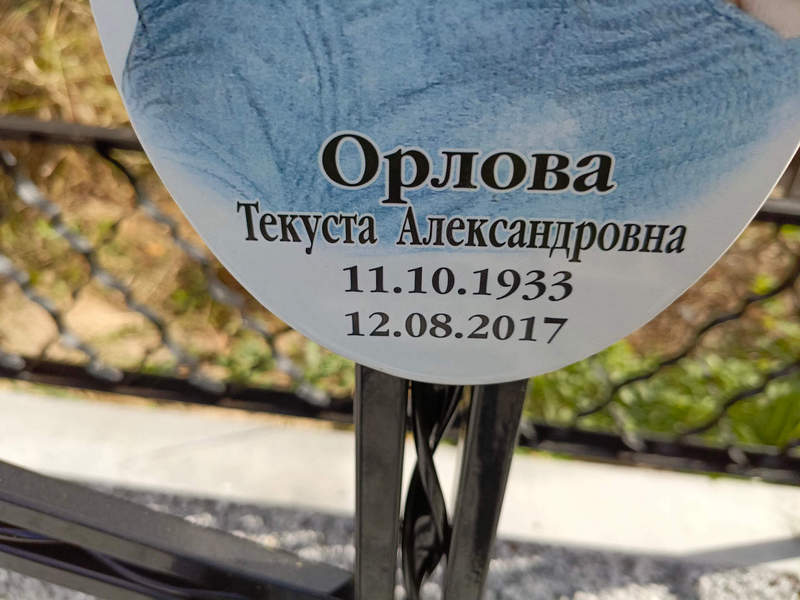Текуста Орлова Александровна