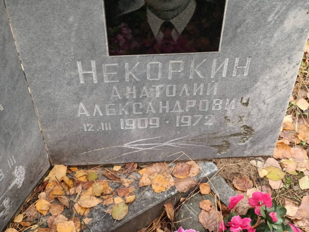Некоркин Анатолий Александрович