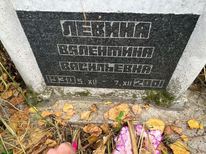 Левина