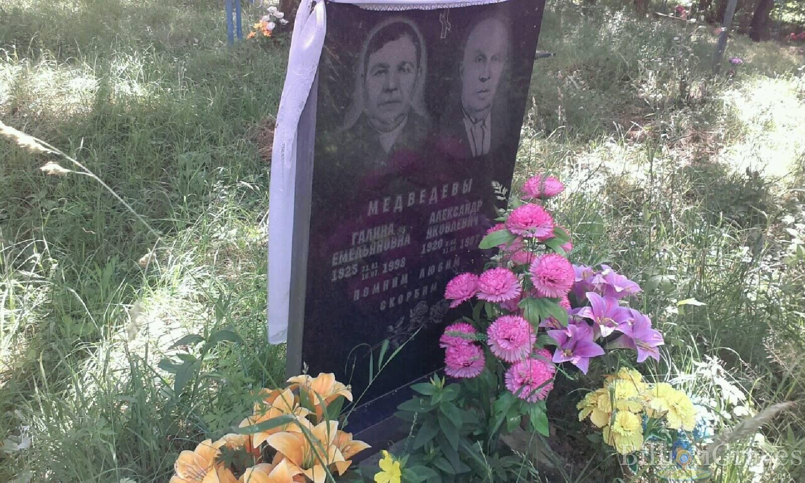 Медведев Александр Яковлевич