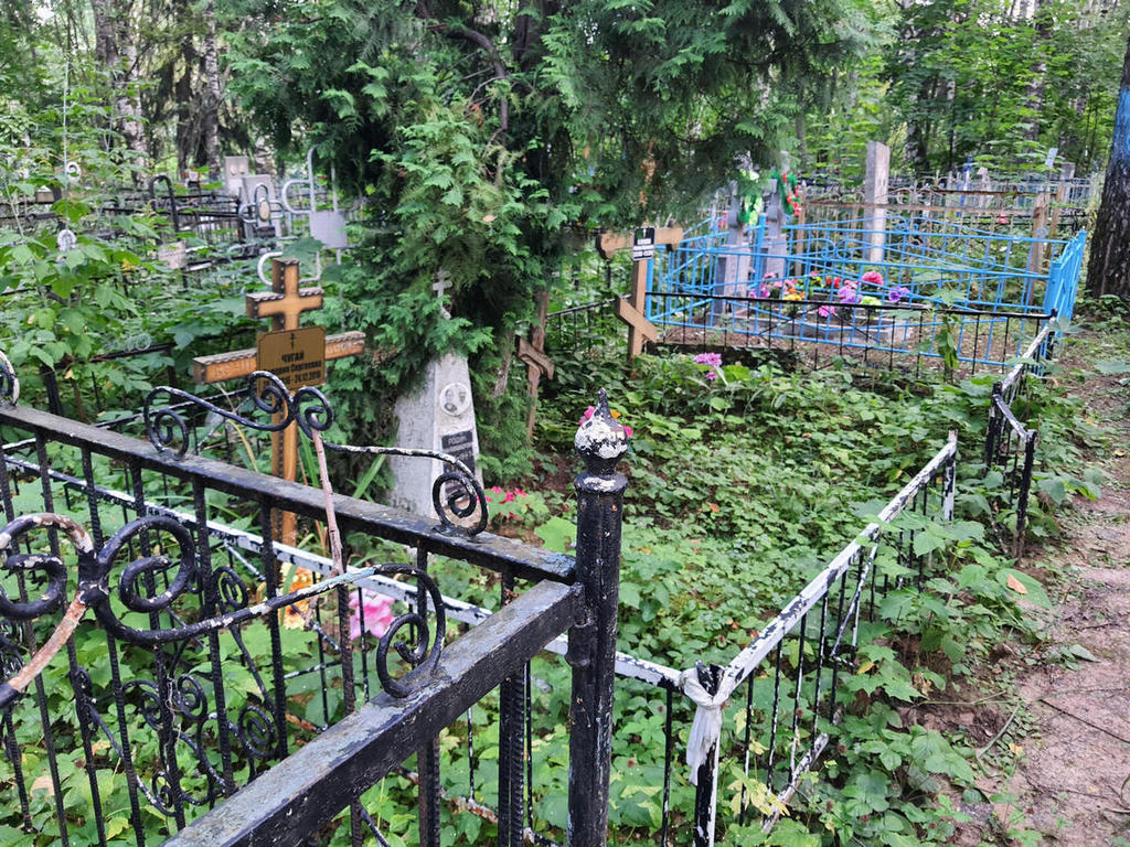 Старцев Николай Васильевич