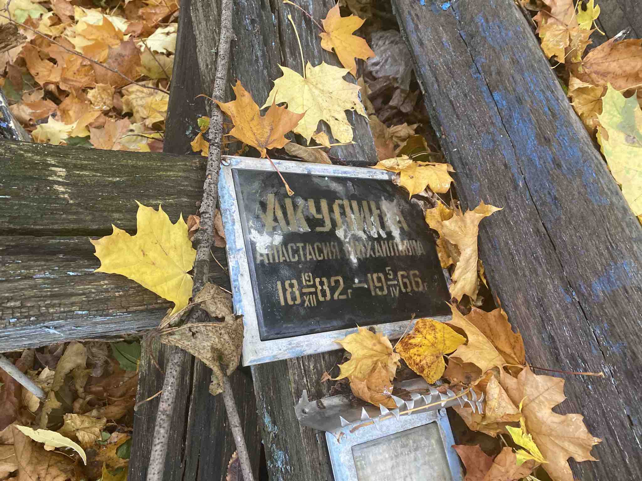 Акулина Анастасия Михайловна