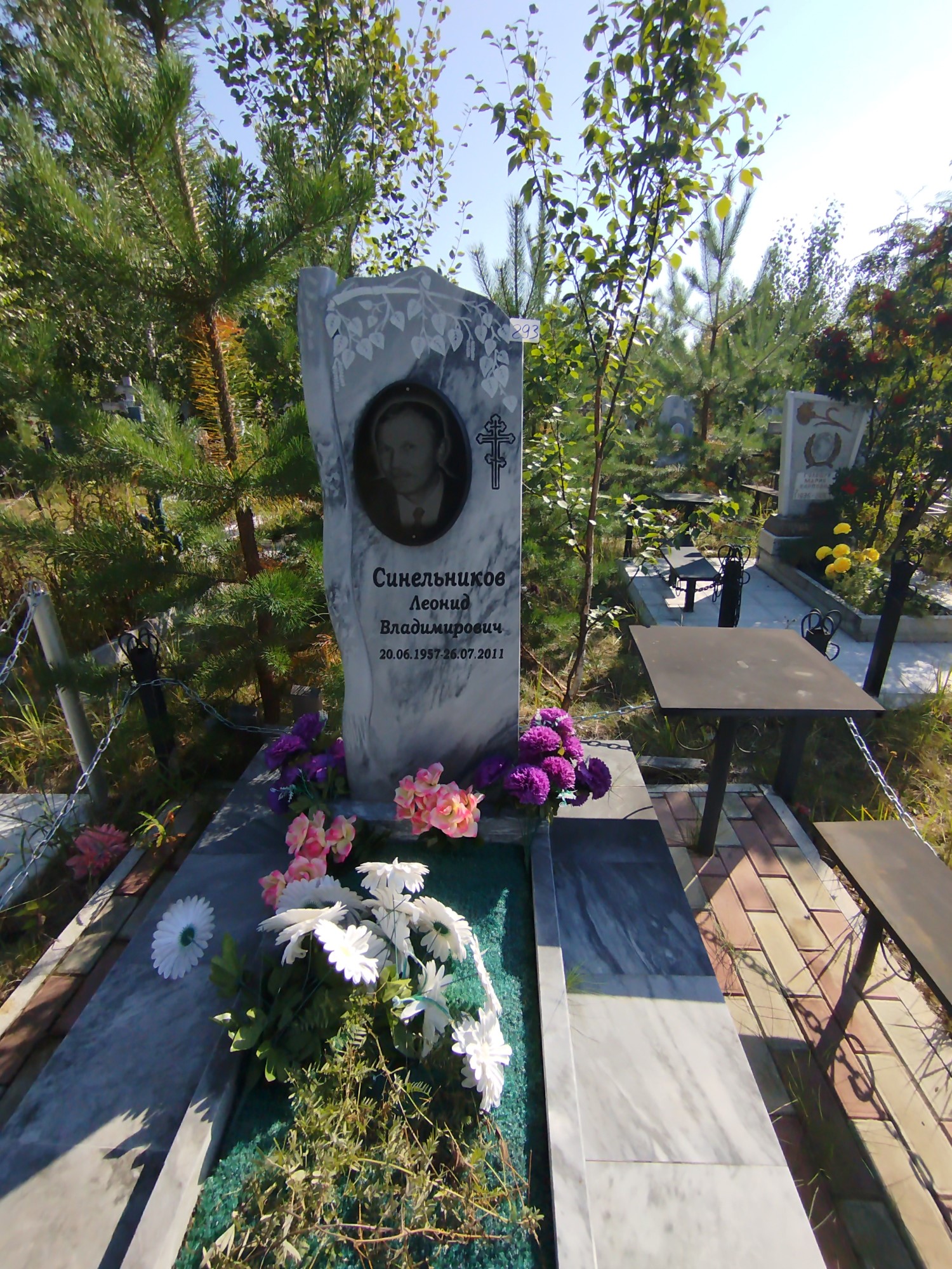 Синельников Леонид Владимирович