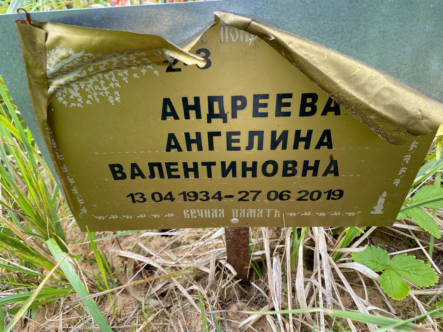 Ангелина Андреева Валентиновна