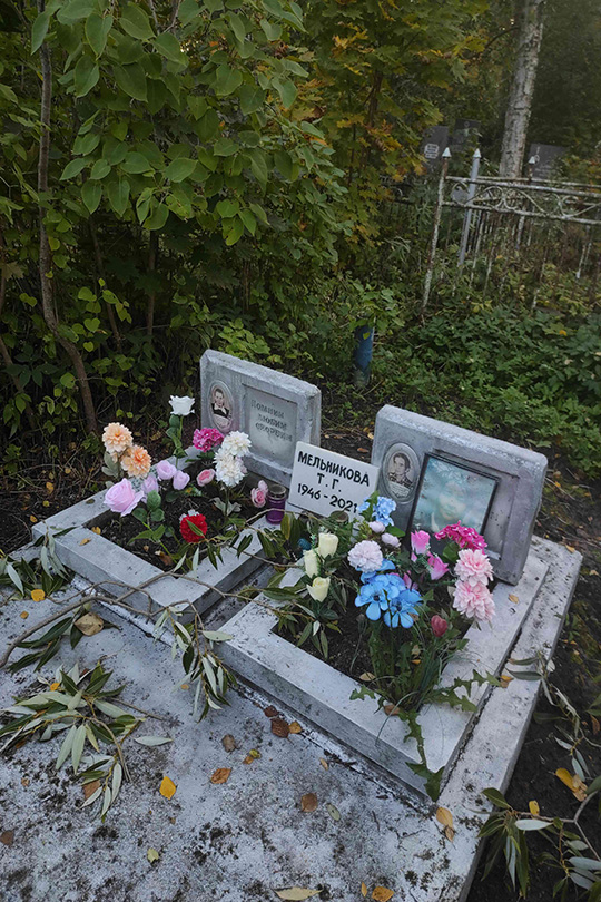 Мельникова Т. Г.