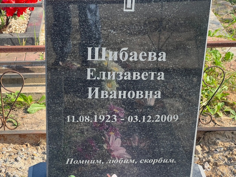Шибаева