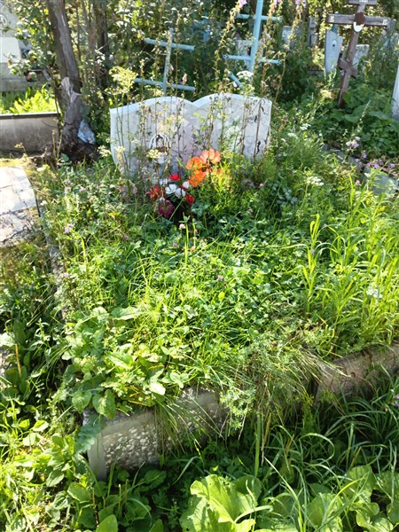 Пестов Николай Амфонтьевич