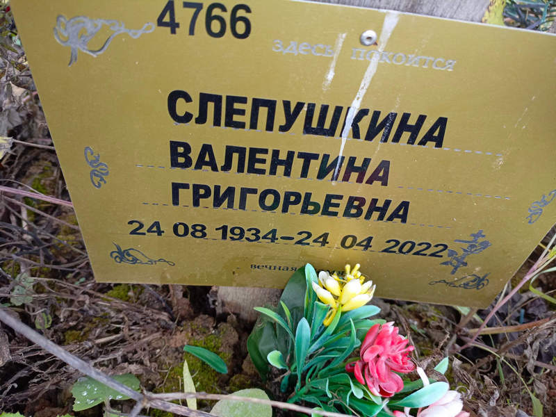 Слепушкина
