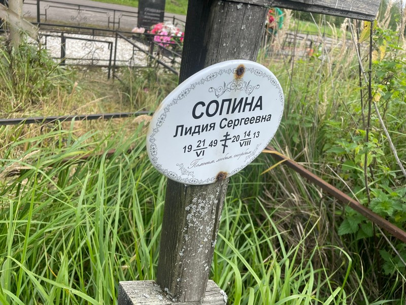 Сопина