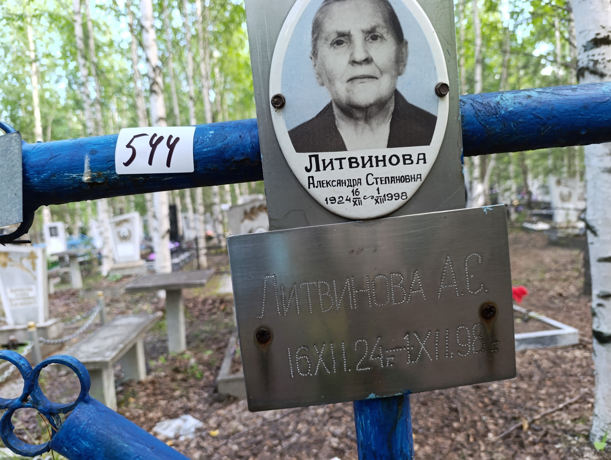 Литвинова Александра Степановна