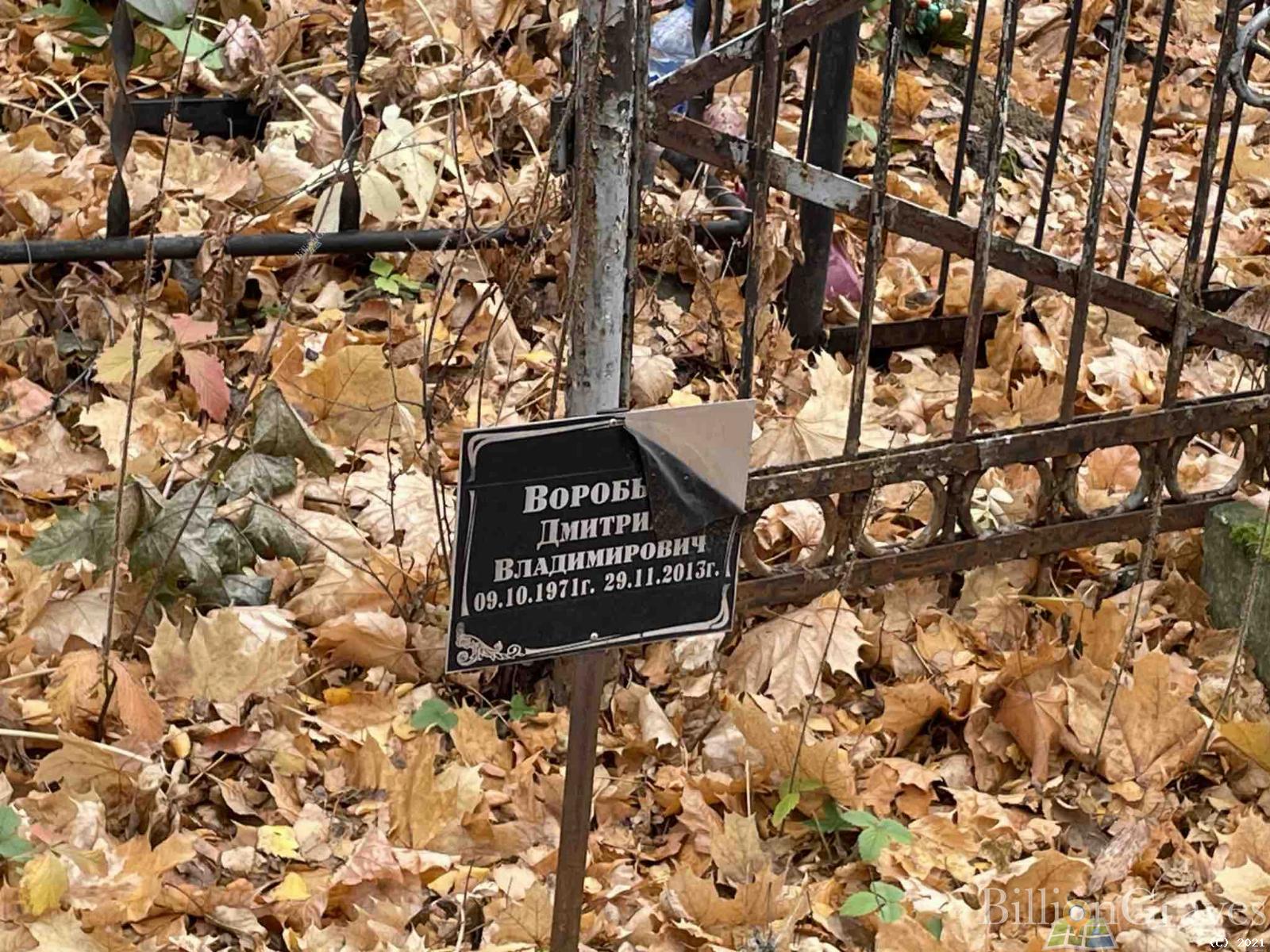 Воробьев Дмитрий Владимирович
