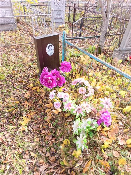 Поддубский Николай Васильевич