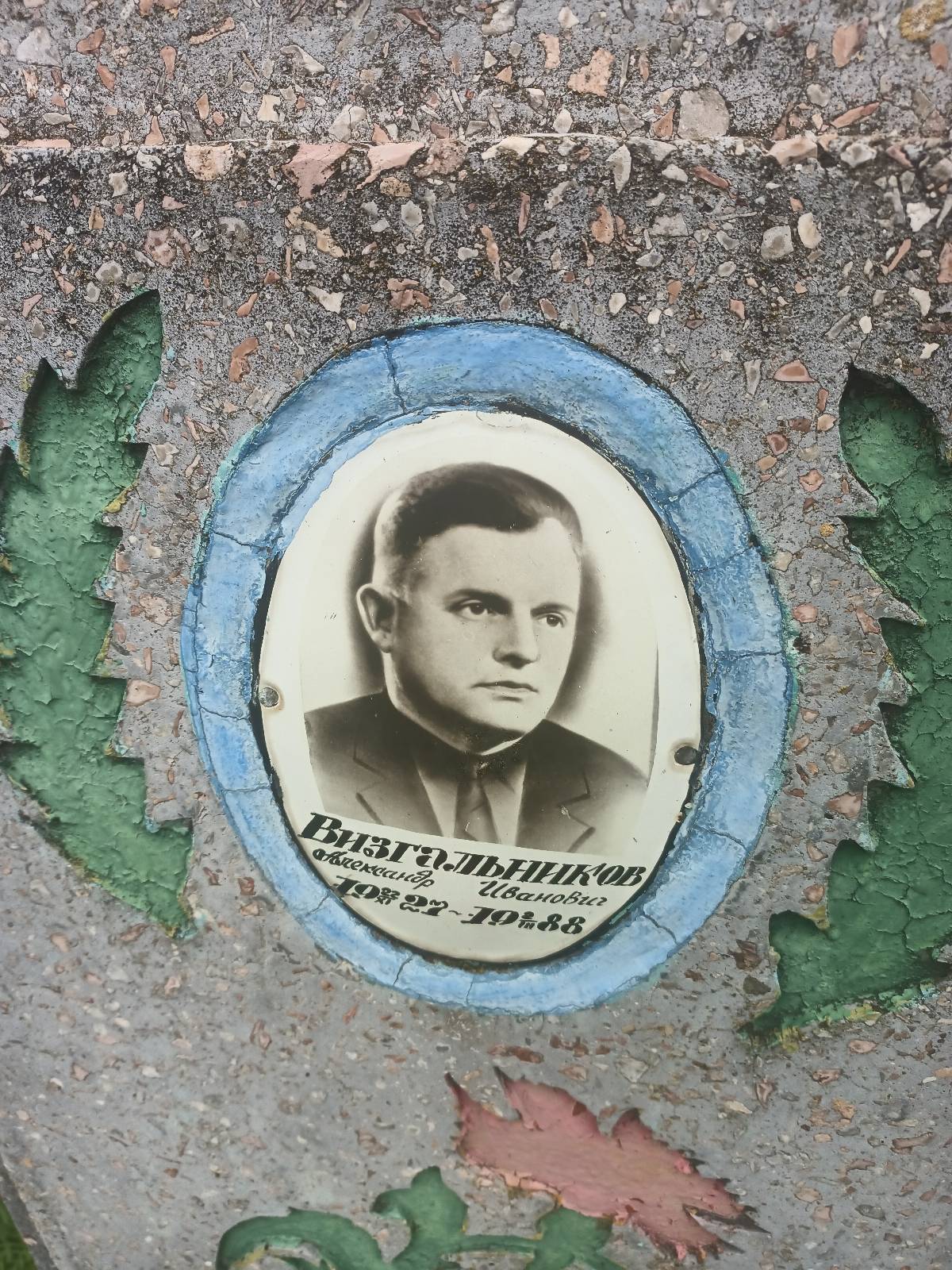 Визгальников Александр Иванович