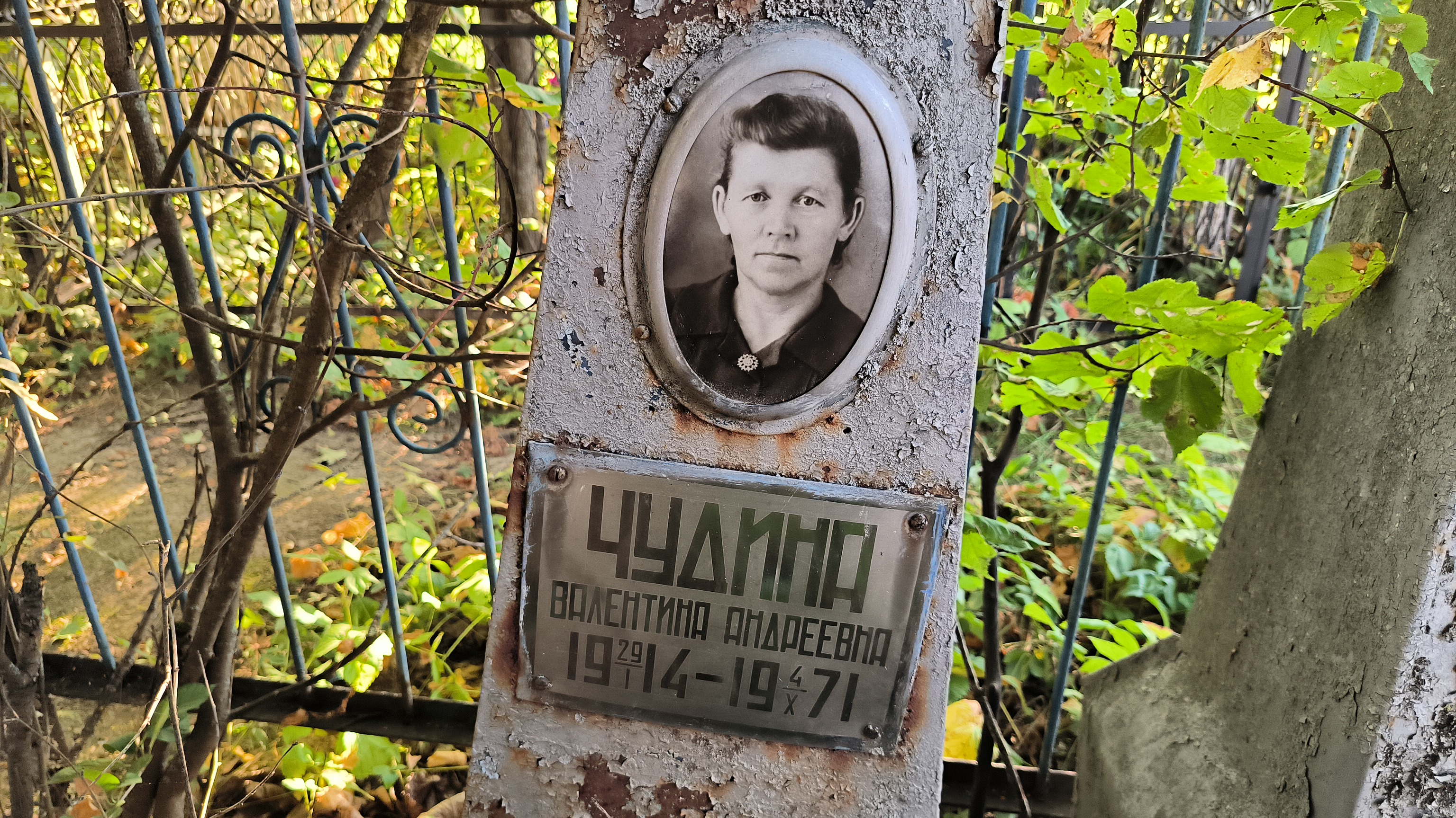 Чудин Александр Михайлович