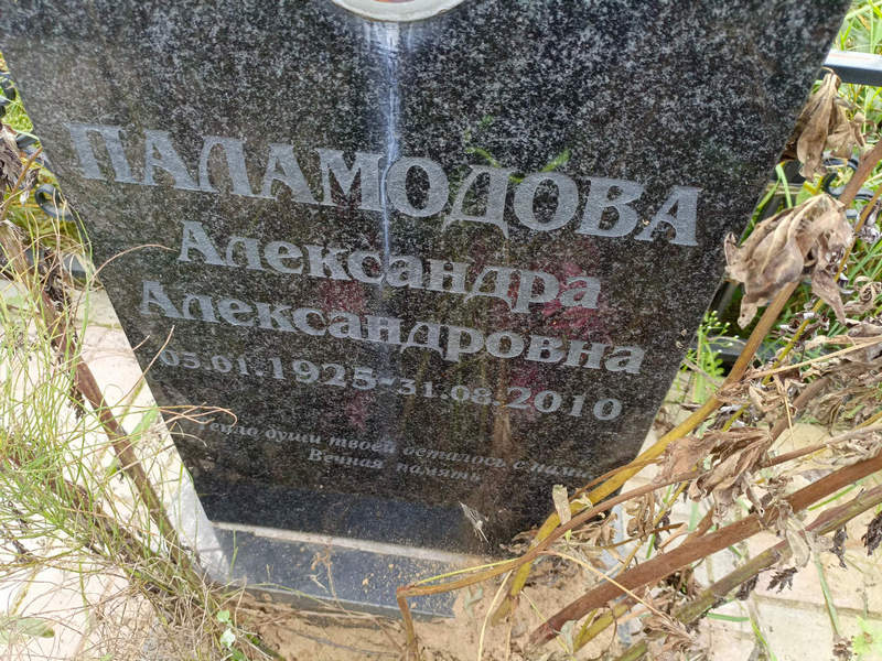 Паламодова Александра Александровна