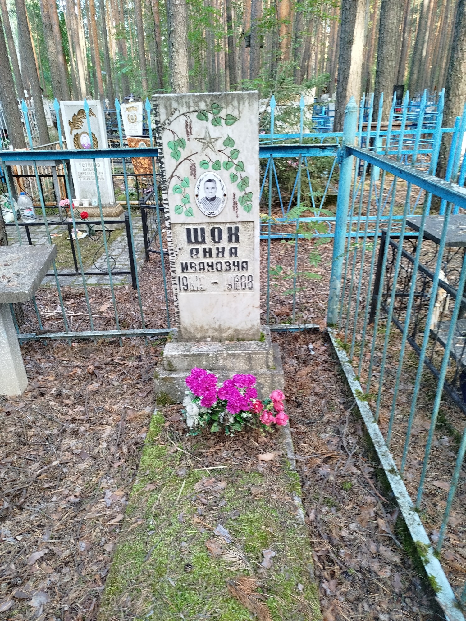 Шох Анна Ивановна