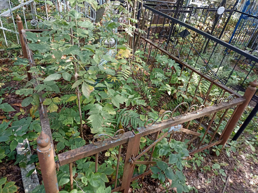 Ковальчук Домна Захаровна