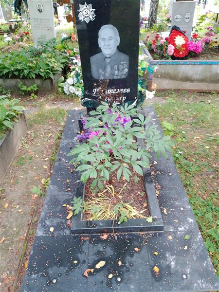 Пантелеев Александр Николаевич