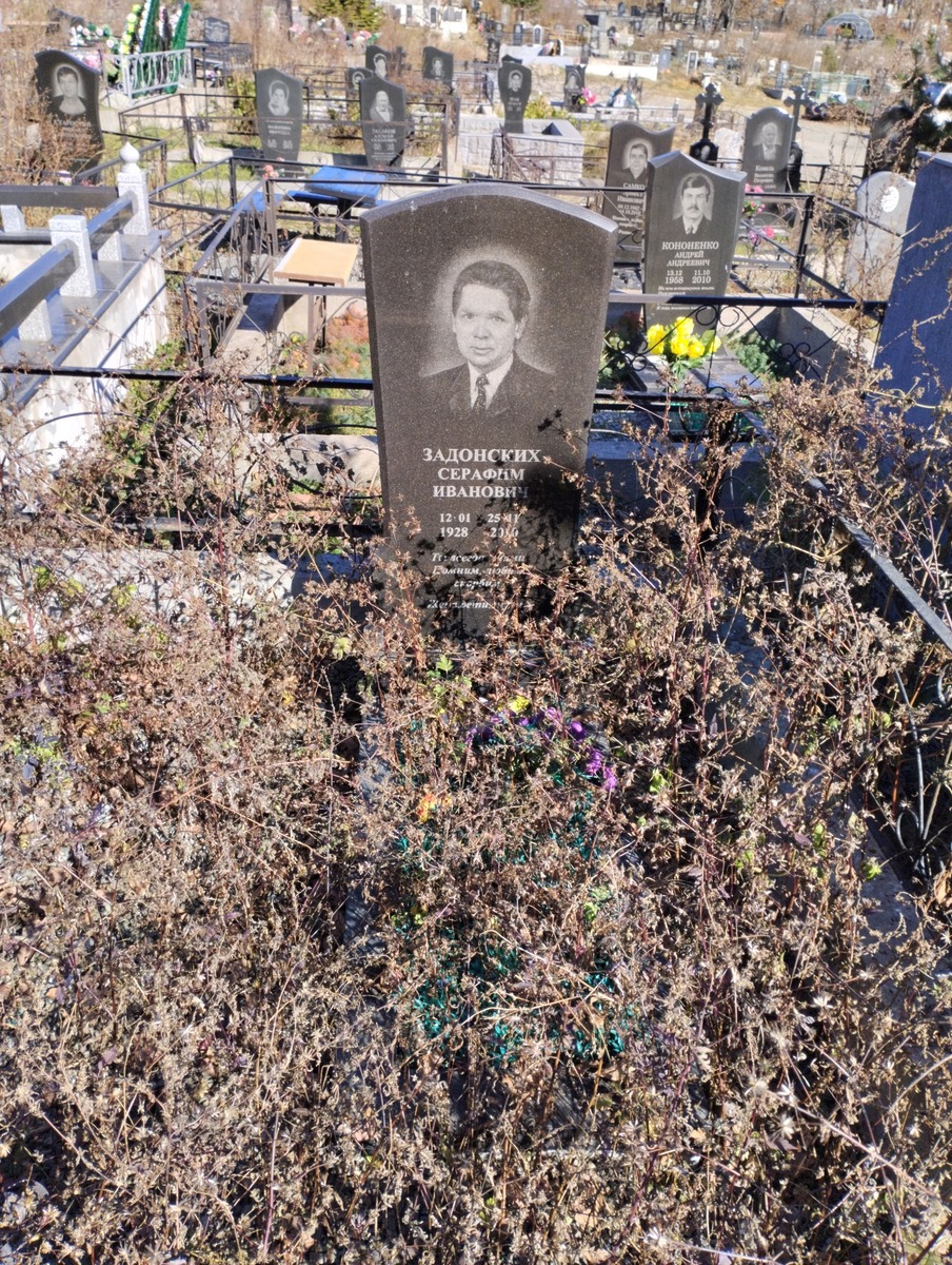 Задонских Серафим Иванович