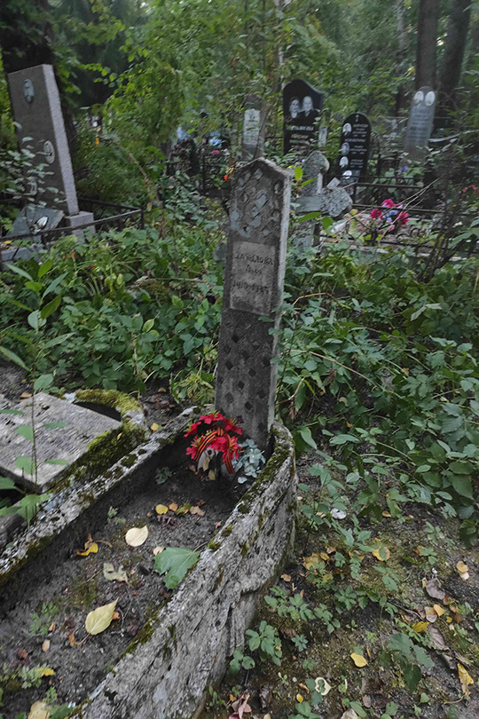 Давыдова Л. В.