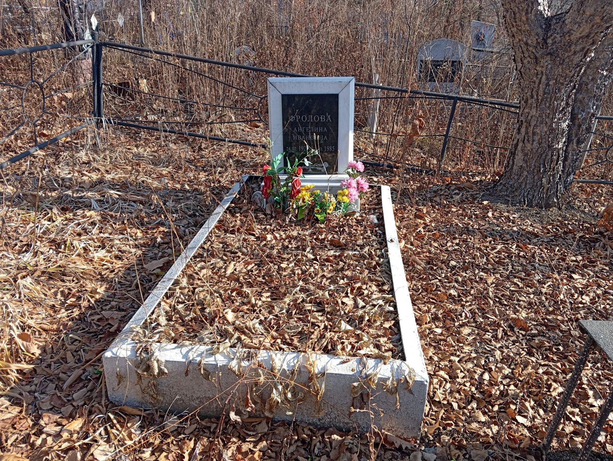 Фролова Ангелина Ивановна