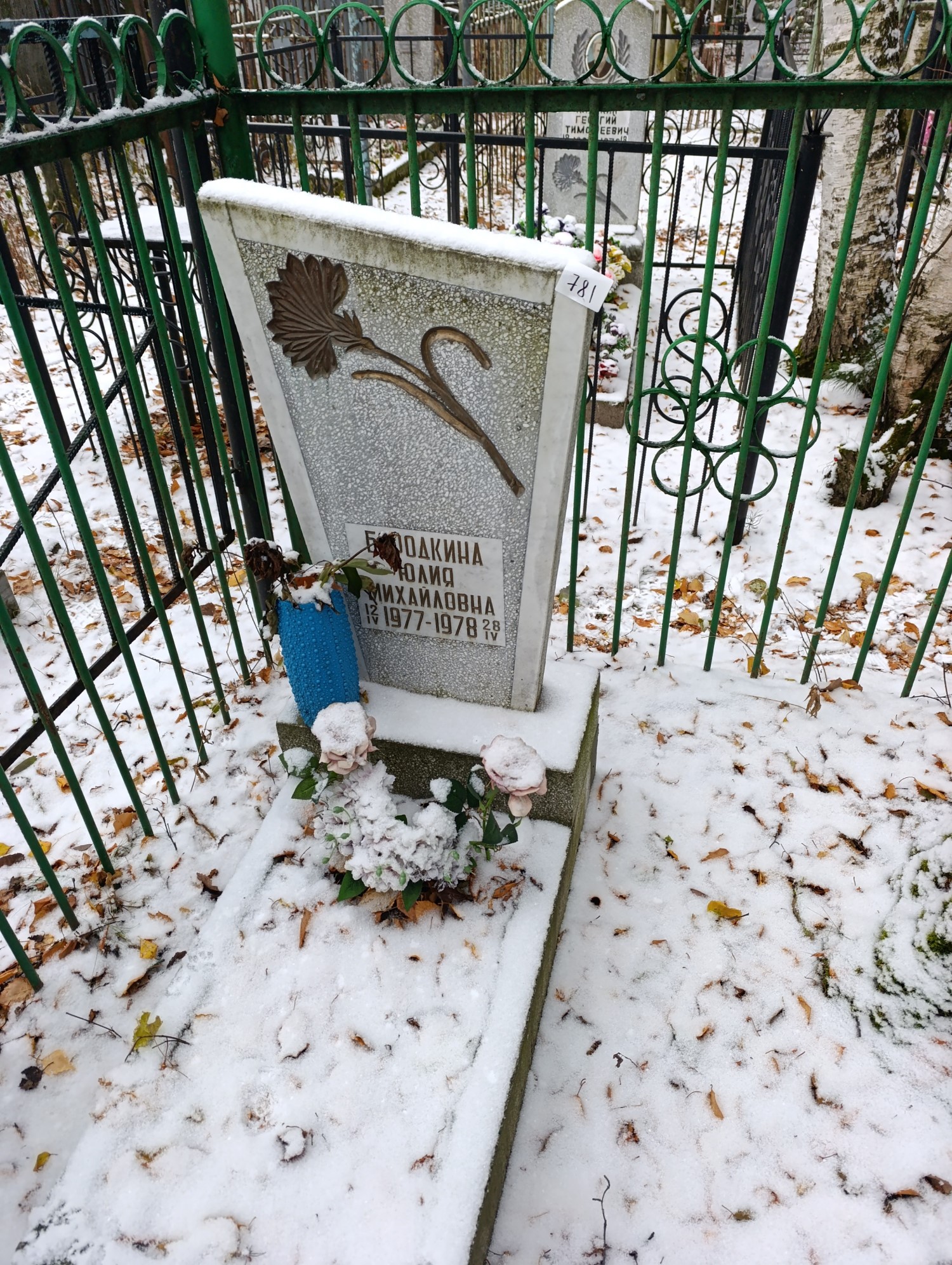 Бородкина Юлия Михайловна