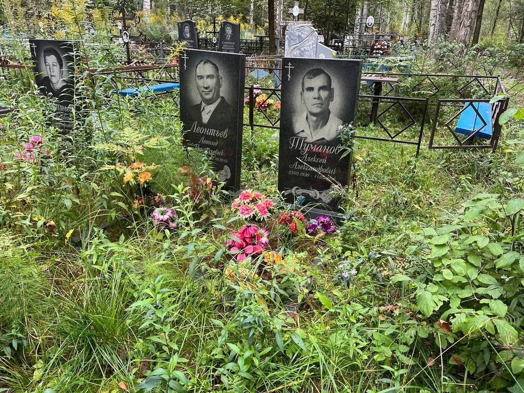 Туманов Алексей Александрович