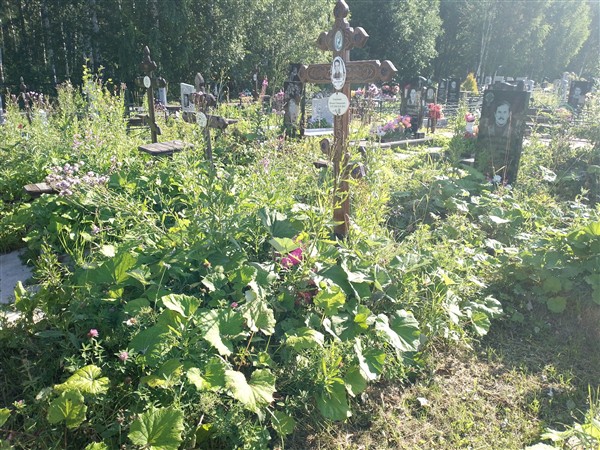 Сеногоев Михаил Геннадьевич