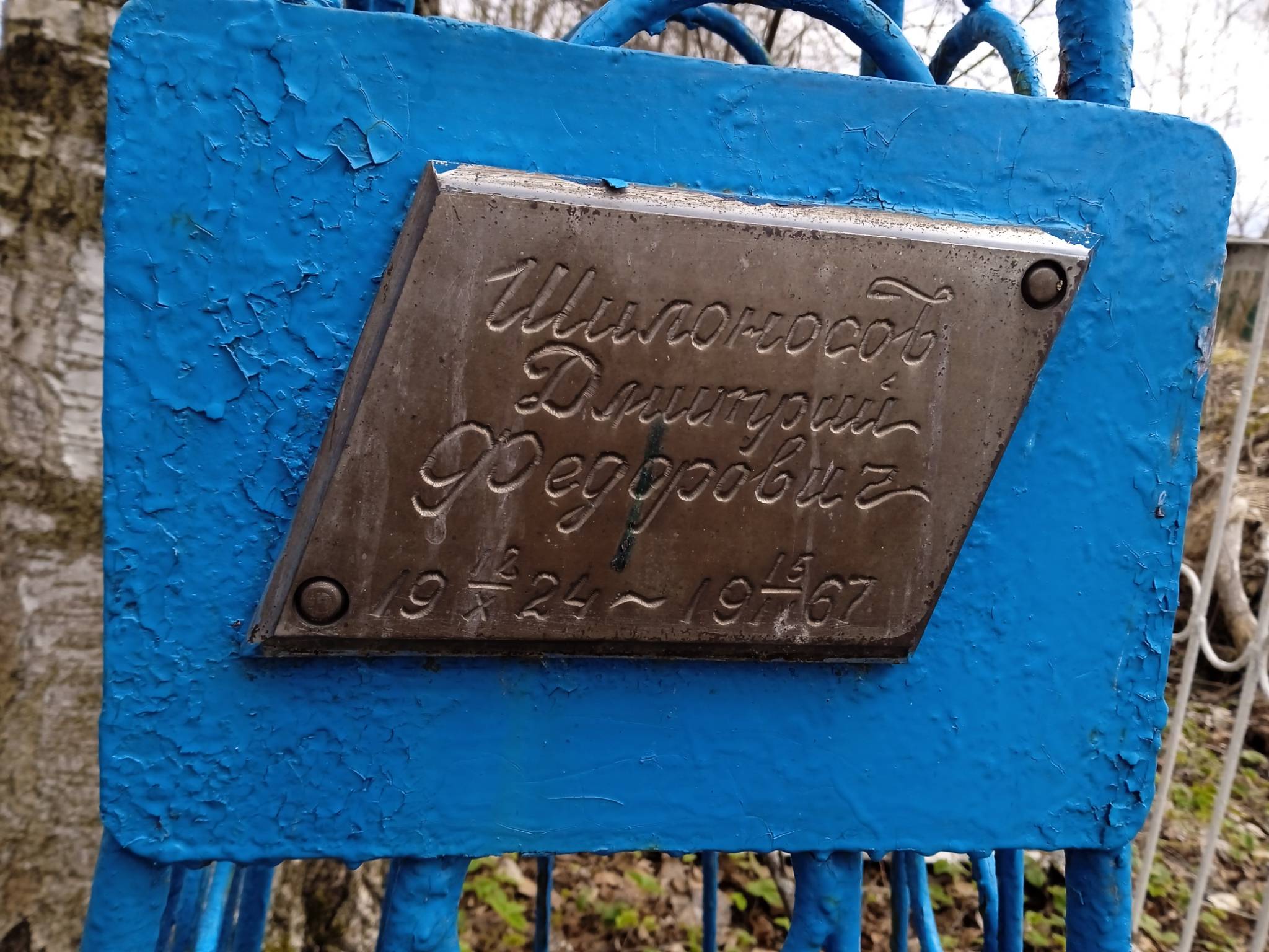 Шилоносов Дмитрий Федорович
