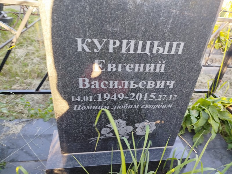 Курицын