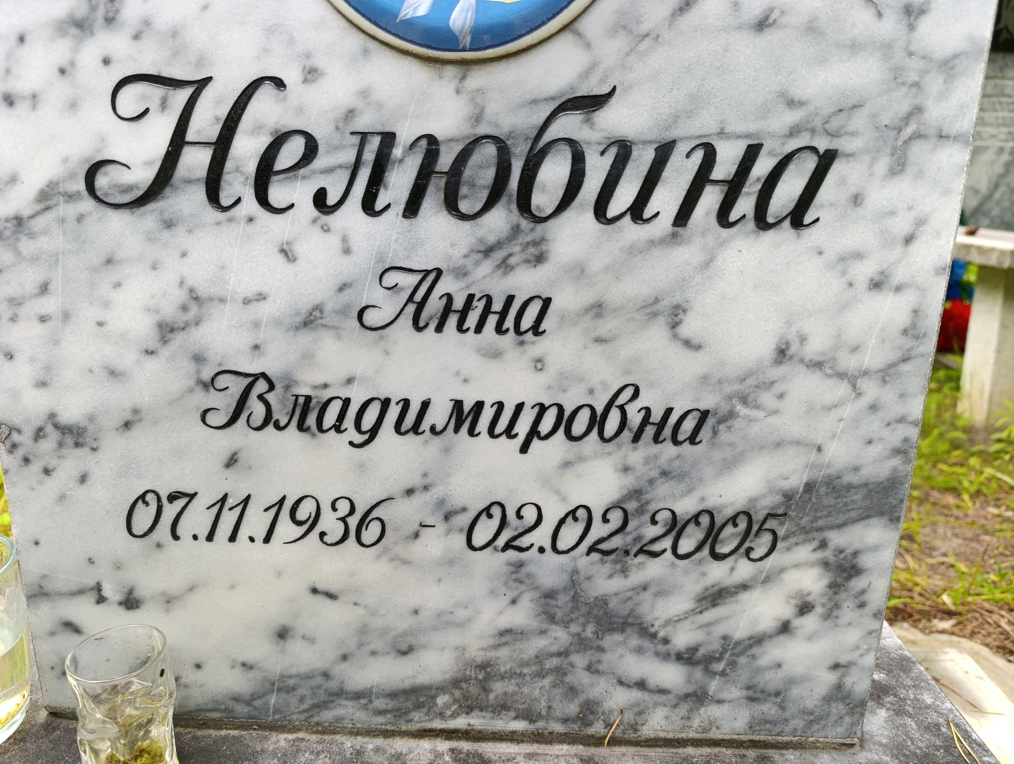 Нелюбина Анна Владимировна