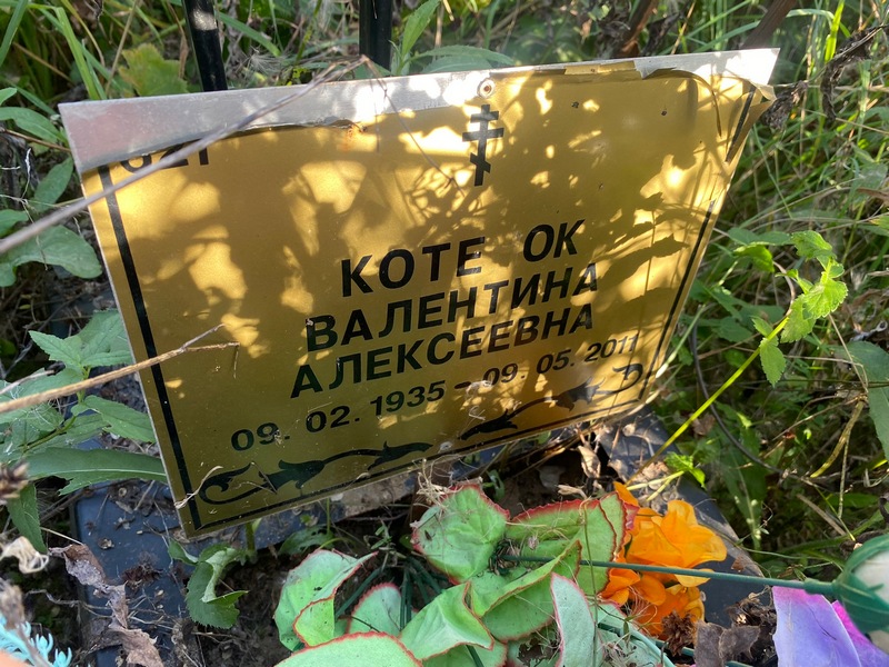 Котенок