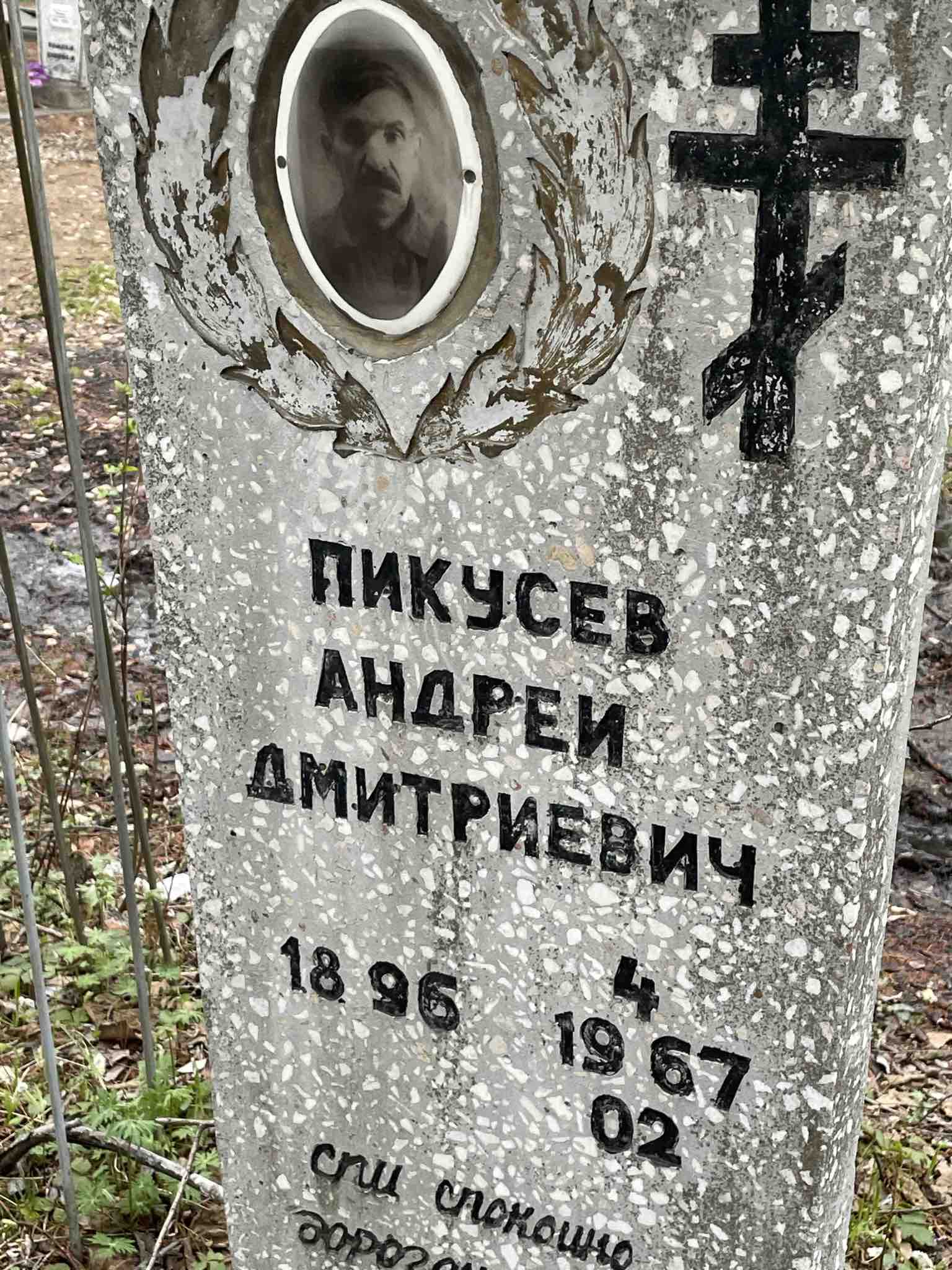 Пикусев Андрей Дмитриевич
