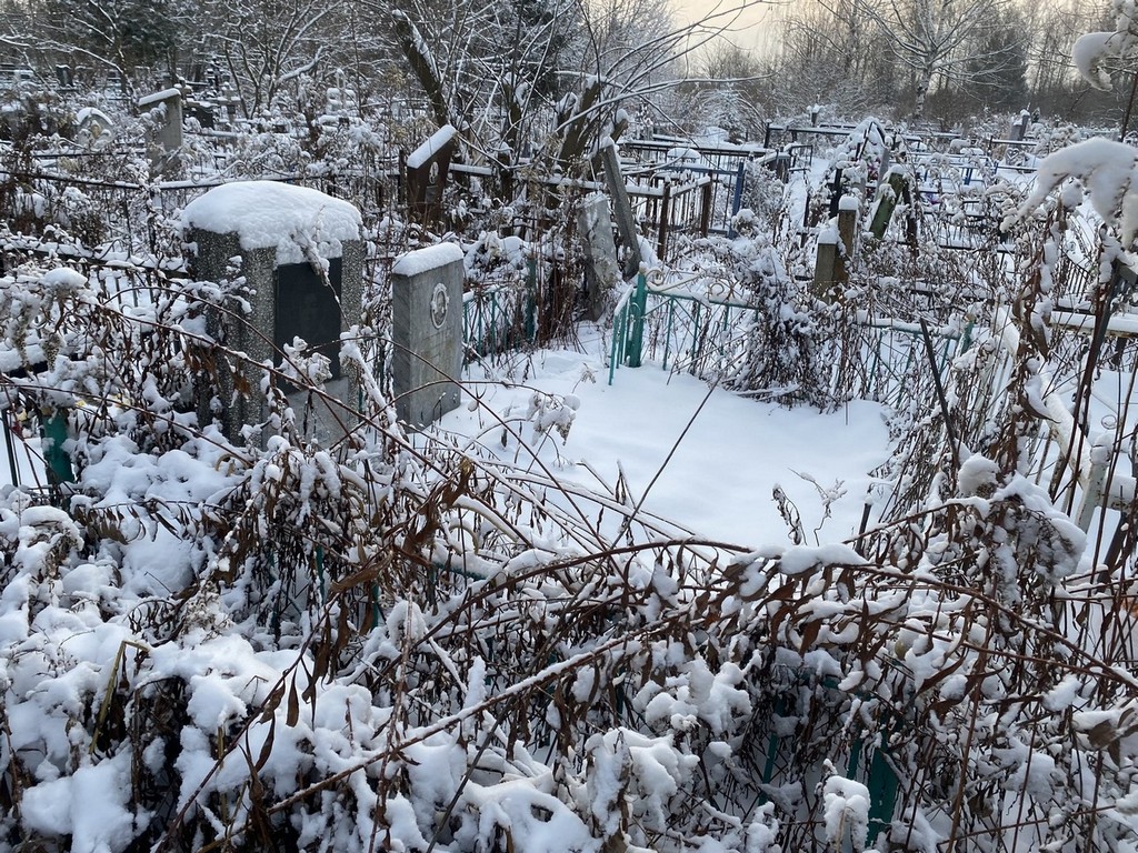 Соловьева Мария Васильевна