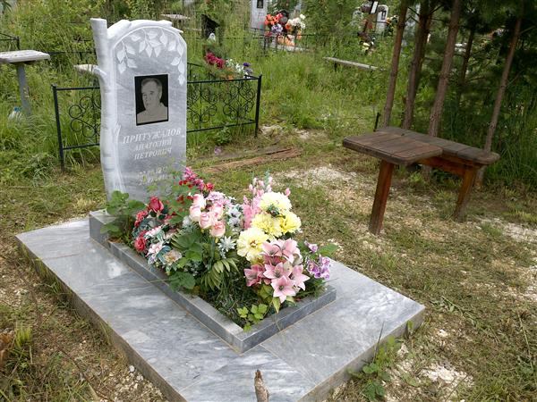 Притужалов Анатолий Петрович