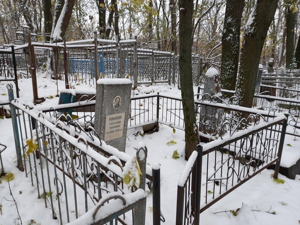 Мамонов Александр Павлович