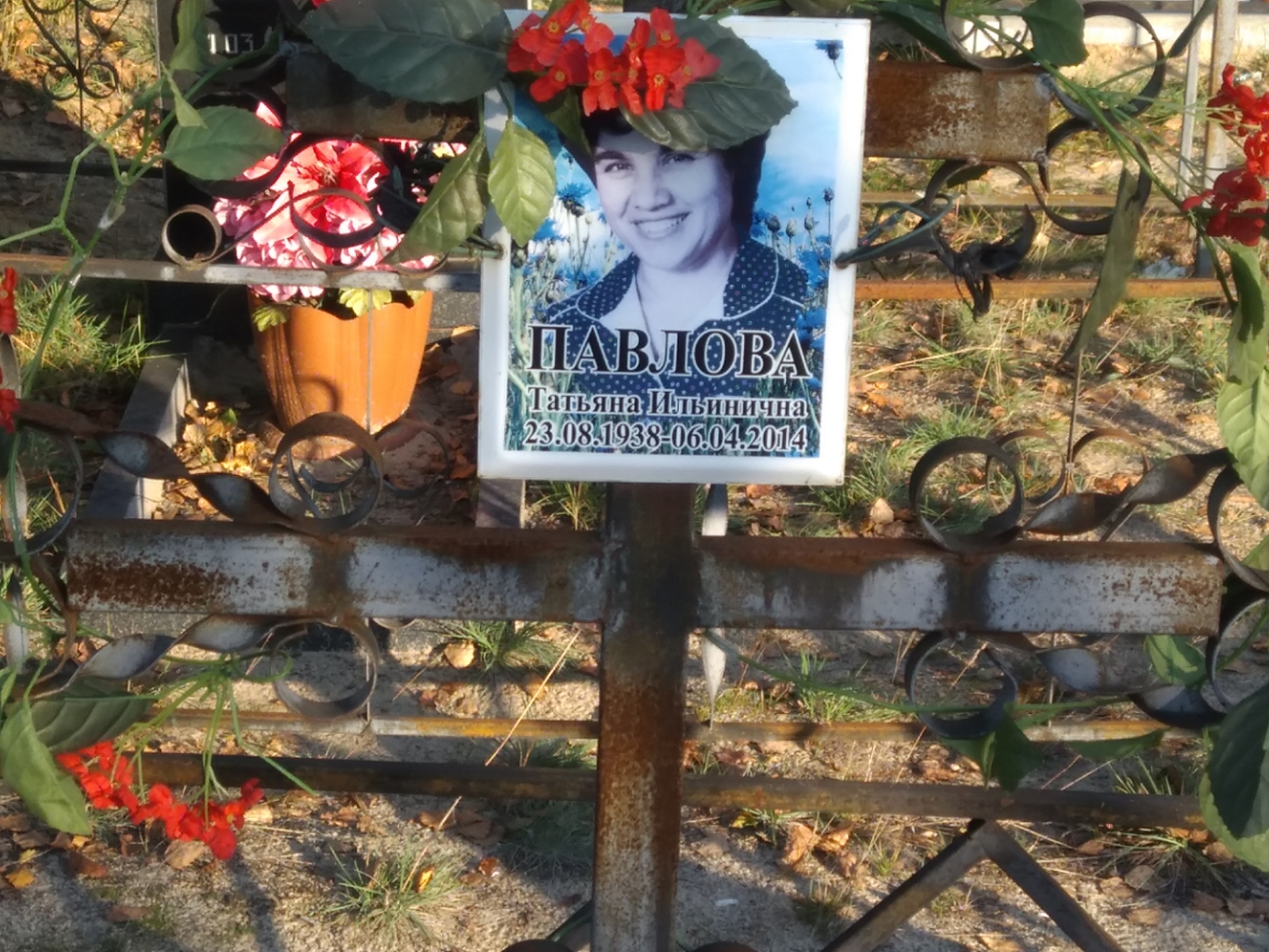 Павлова Татьяна Ильинична