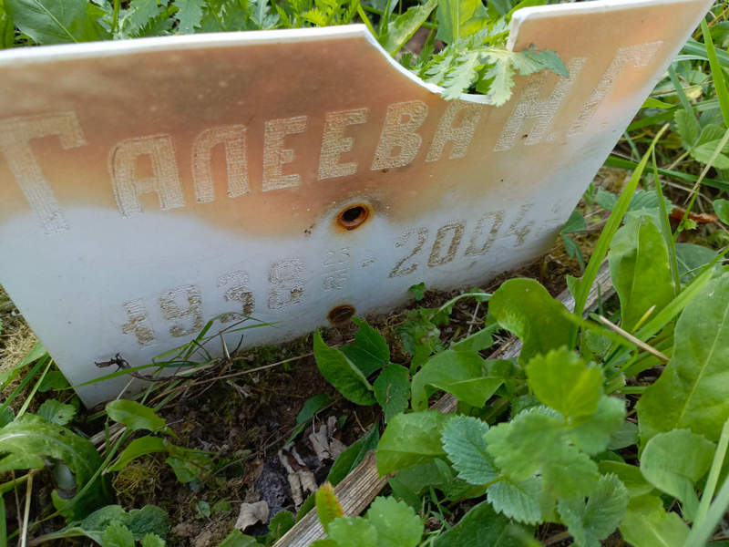 Н. Галеева Г.