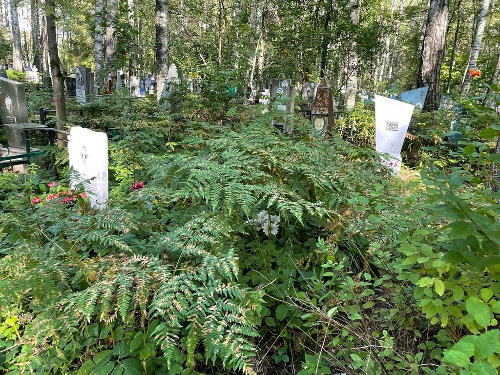 Еремин Александр Васильевич