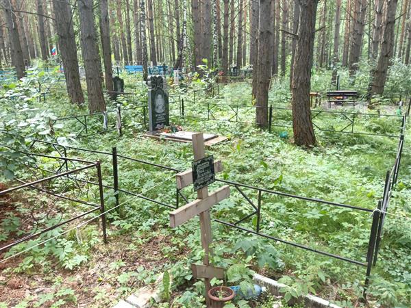 Власова Лариса Петровна